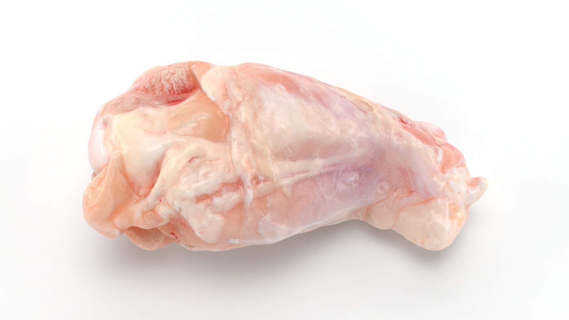 3D Fresh Raw Chicken Wing Drumette V2 TurboSquid 2053386