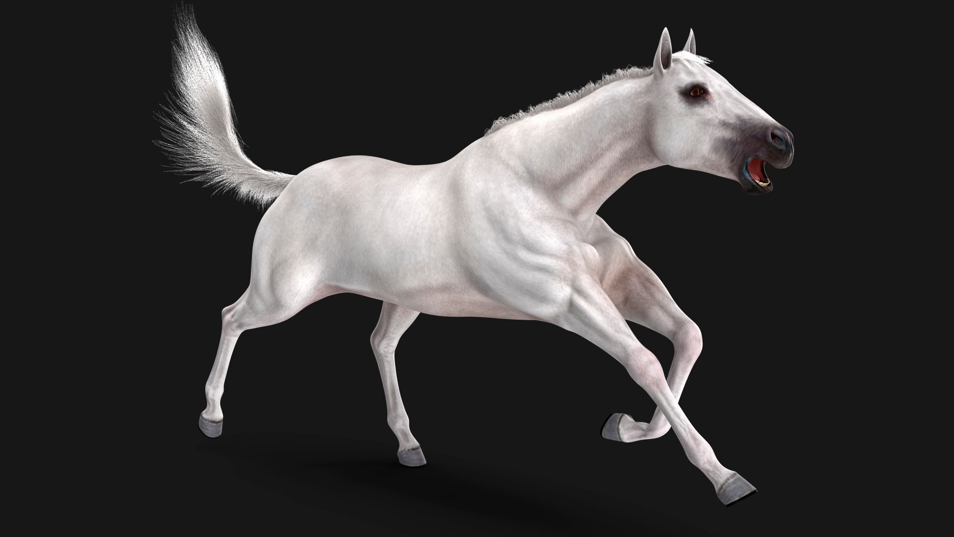 White Horse Fur Rigged 3D model preview