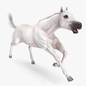 3D white horse animal fur