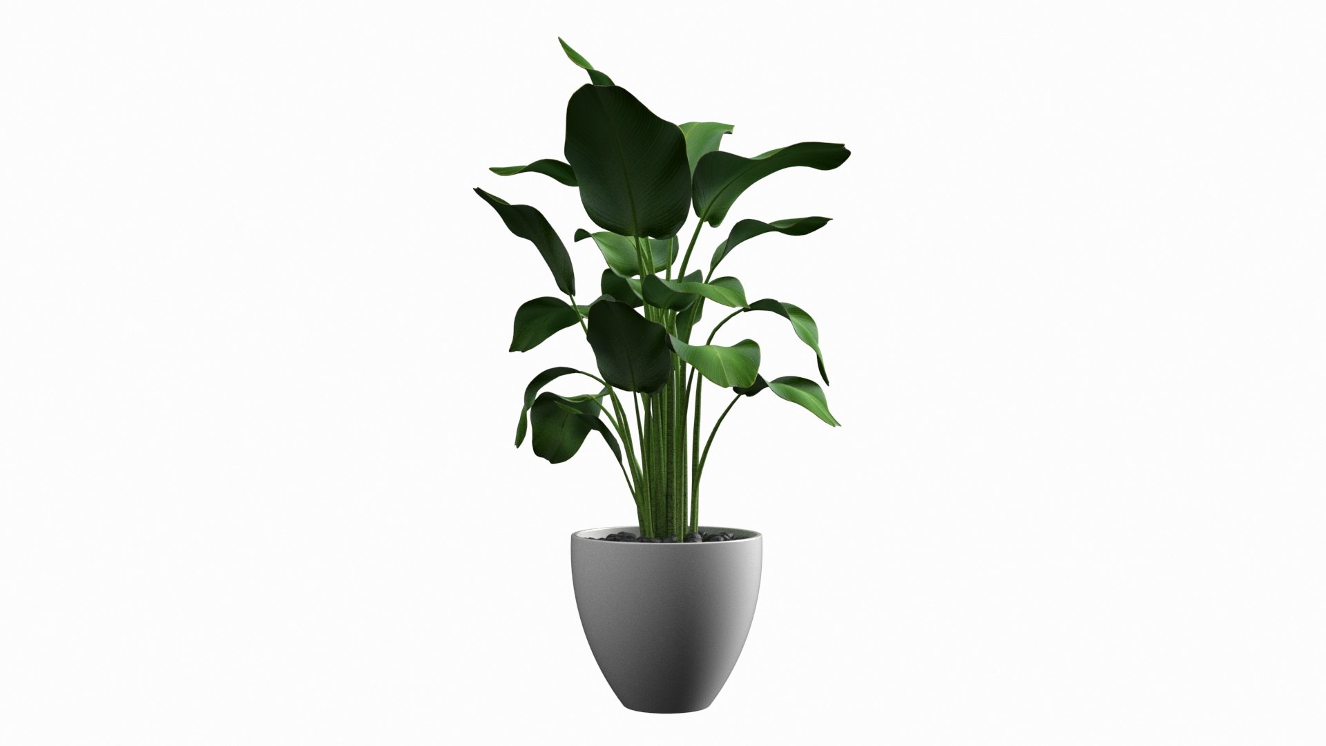 Plant Big Leaves 3D - TurboSquid 1627138