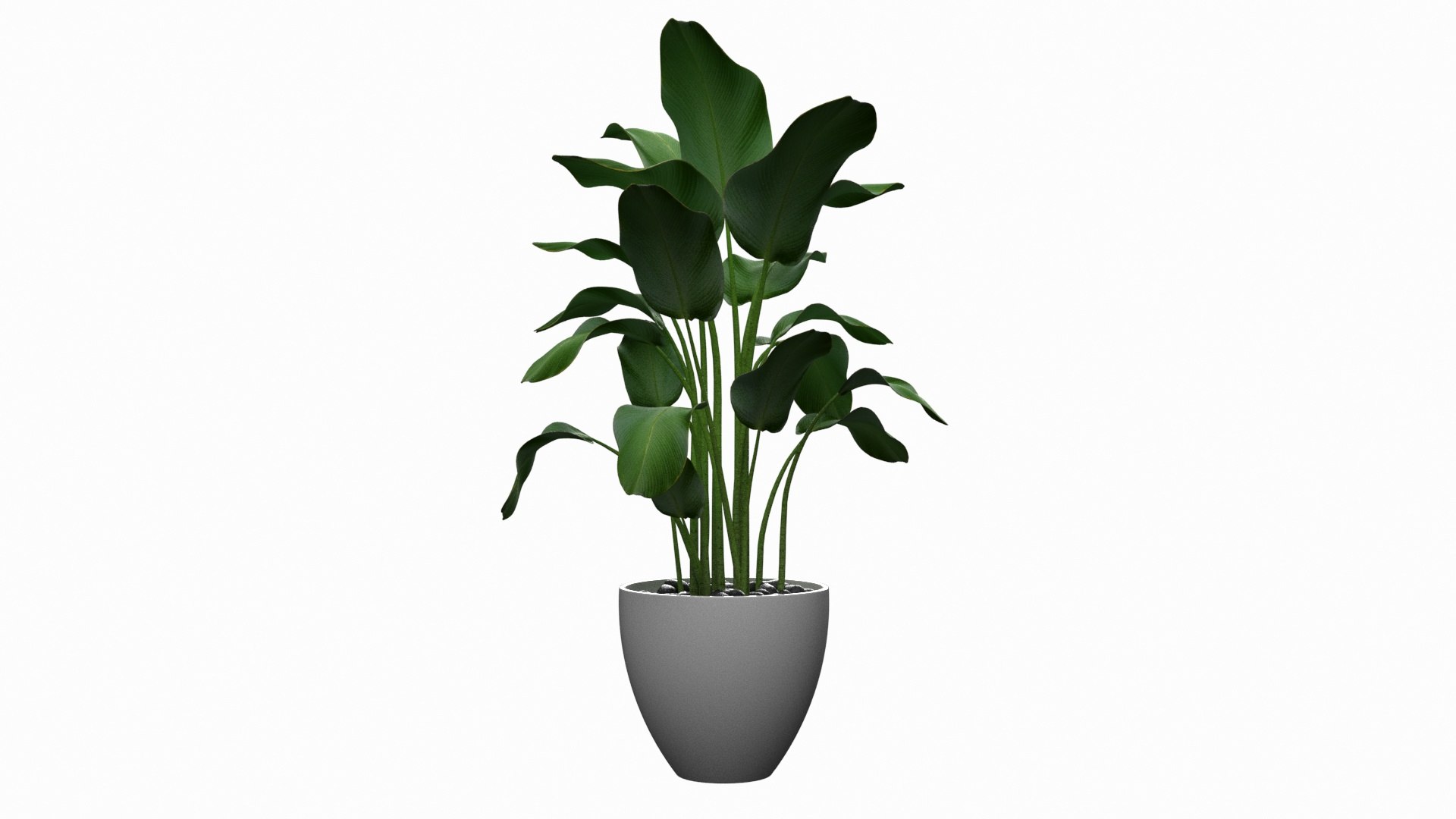 Plant Big Leaves 3d - Turbosquid 1627138