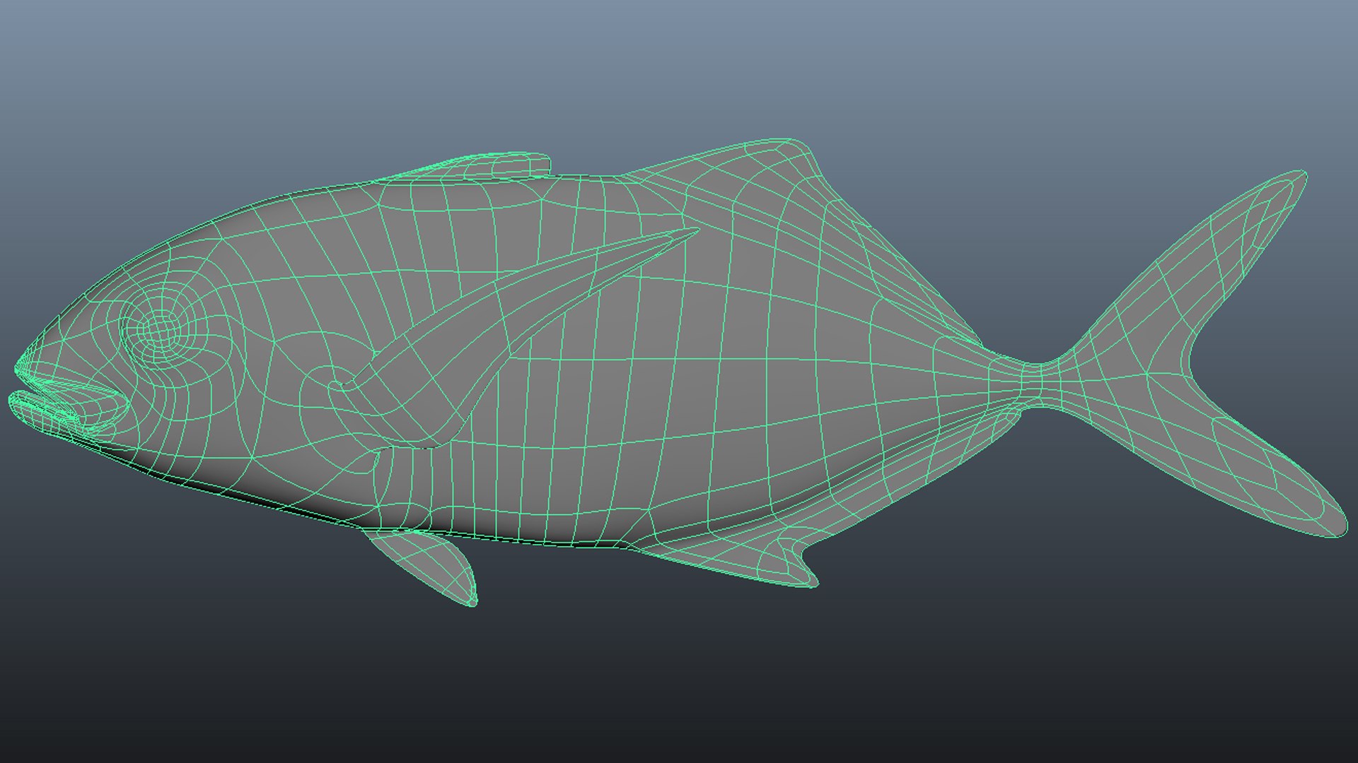 Saltwater Fish Collection 23 3D Model - TurboSquid 1837567
