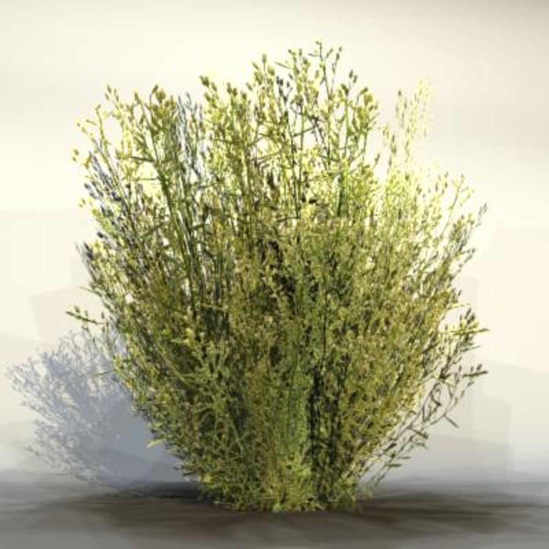 3d max pc grass