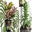 Collection Exotic plants 362