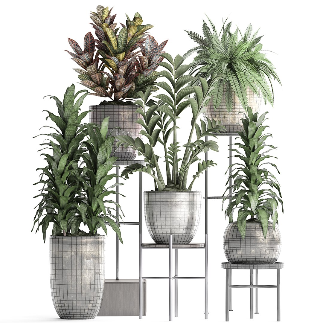 houseplants exotic plants 3D https://p.turbosquid.com/ts-thumb/BH/6hFjH2/FoACluTR/plant0708201908/jpg/1565261613/1920x1080/fit_q87/97b83c0abfda55f8c1a465c812d964c5133843dd/plant0708201908.jpg