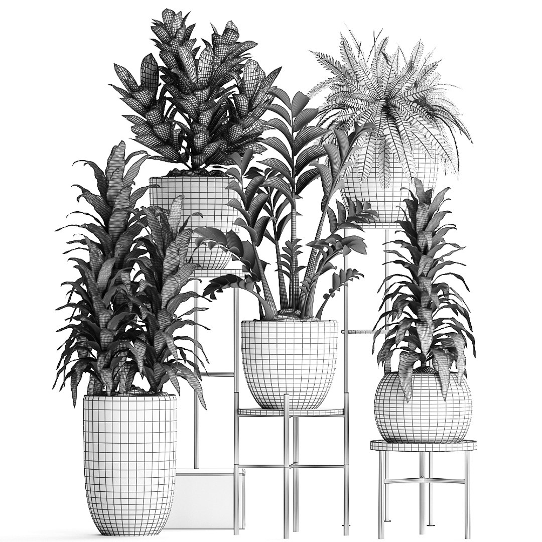 Houseplants Exotic Plants 3D - TurboSquid 1434349