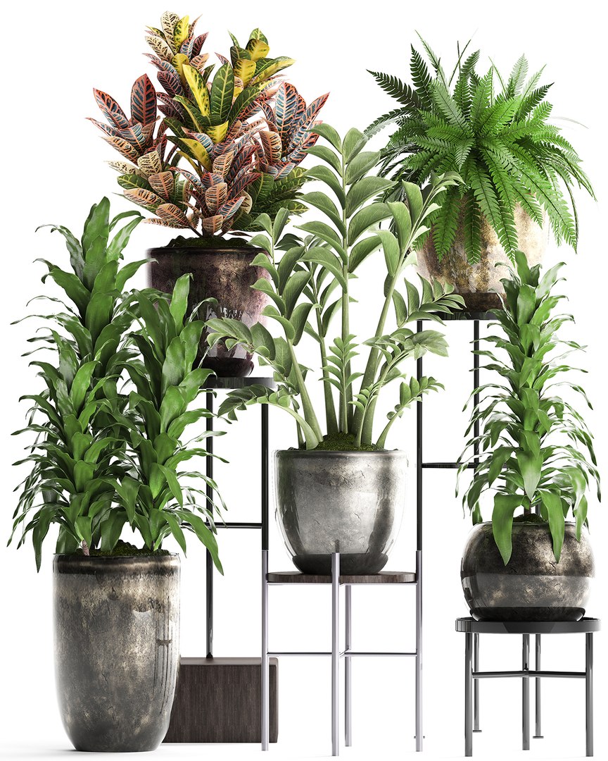 houseplants exotic plants 3D https://p.turbosquid.com/ts-thumb/BH/6hFjH2/fbZW6Pom/plant0708201902/jpg/1565261613/1920x1080/fit_q87/e63a8c4b16449de603b5ba9552531ec5086588c0/plant0708201902.jpg