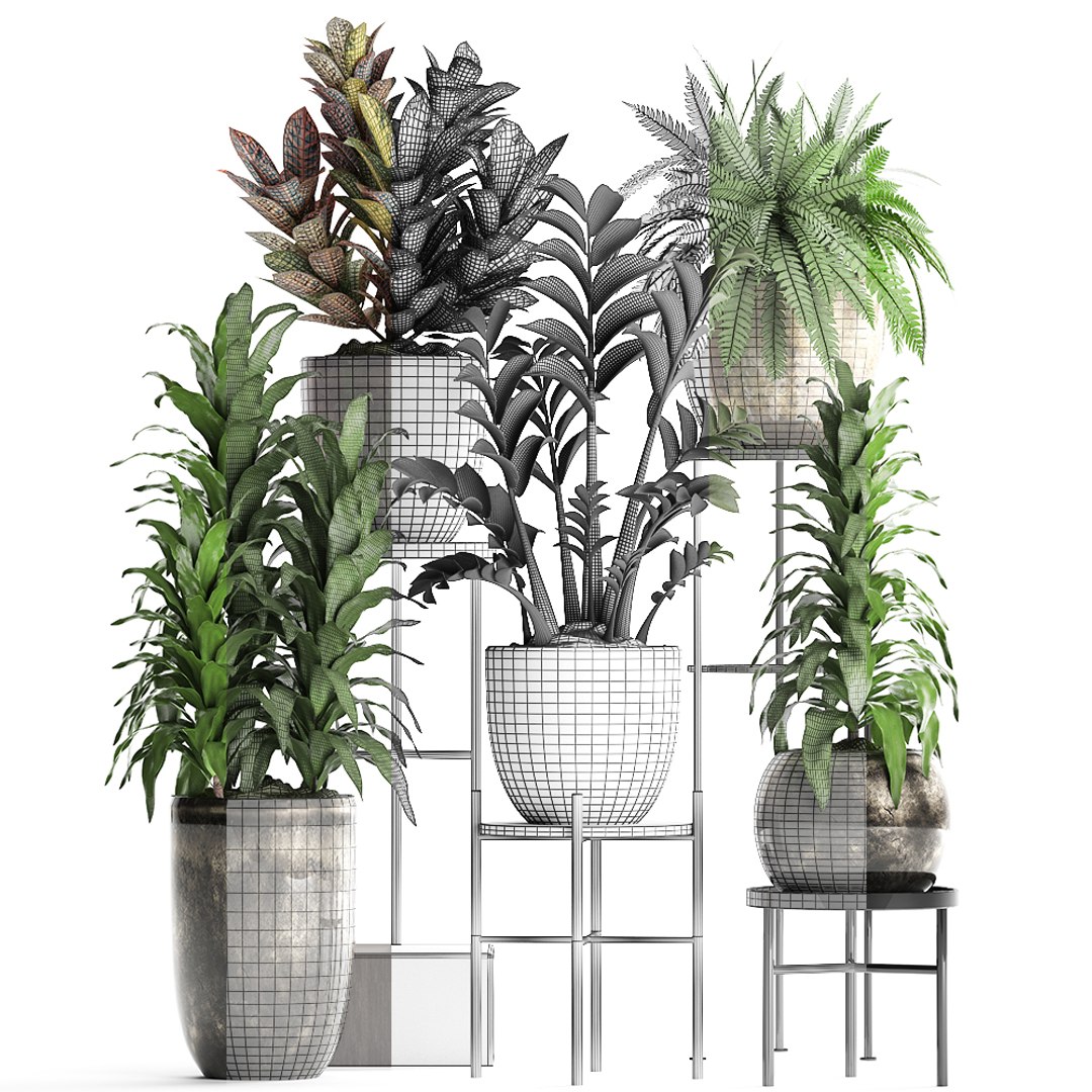 Houseplants Exotic Plants 3D - TurboSquid 1434349