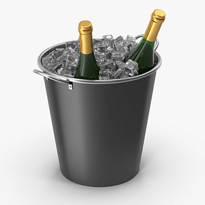 Champagne Bucket With Ice model