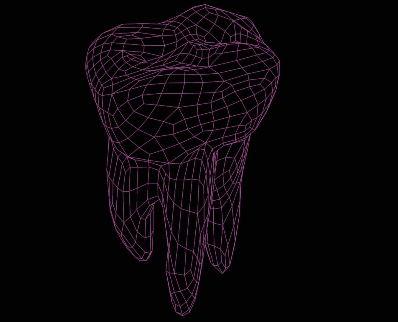 molar tooth 3d model https://p.turbosquid.com/ts-thumb/BH/Eb6zW6/IZqXv2Bm/7/png/1401481611/1920x1080/fit_q87/52fdf58156351f068978245086afc3d86b5caa9e/7.jpg