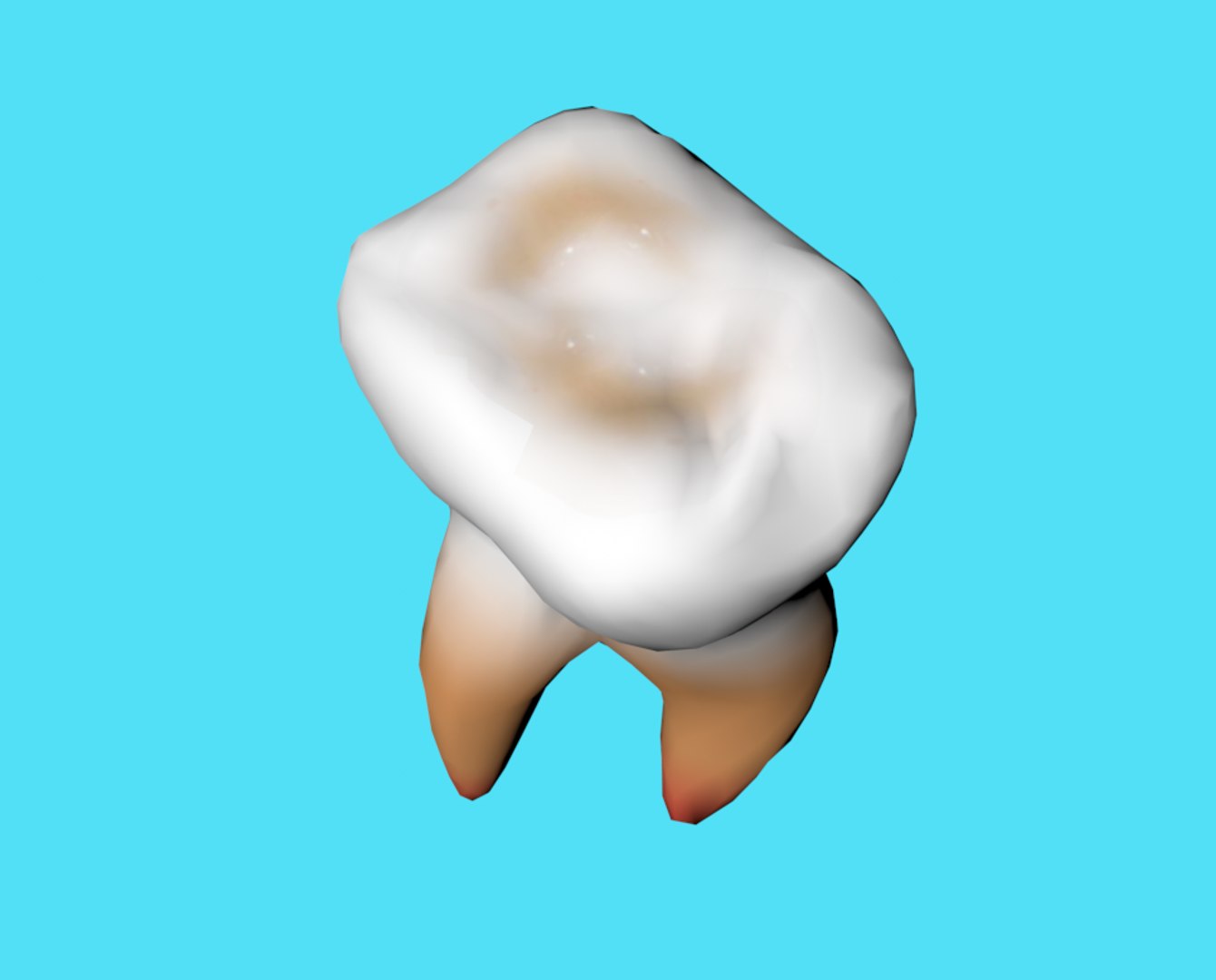 molar tooth 3d model https://p.turbosquid.com/ts-thumb/BH/Eb6zW6/In1UC7Gc/4/png/1401481619/1920x1080/fit_q87/eaad3176f8c2a9d5ec08684ca8cd6a5c80d27df6/4.jpg