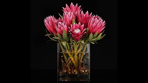 Plant 26 3D model