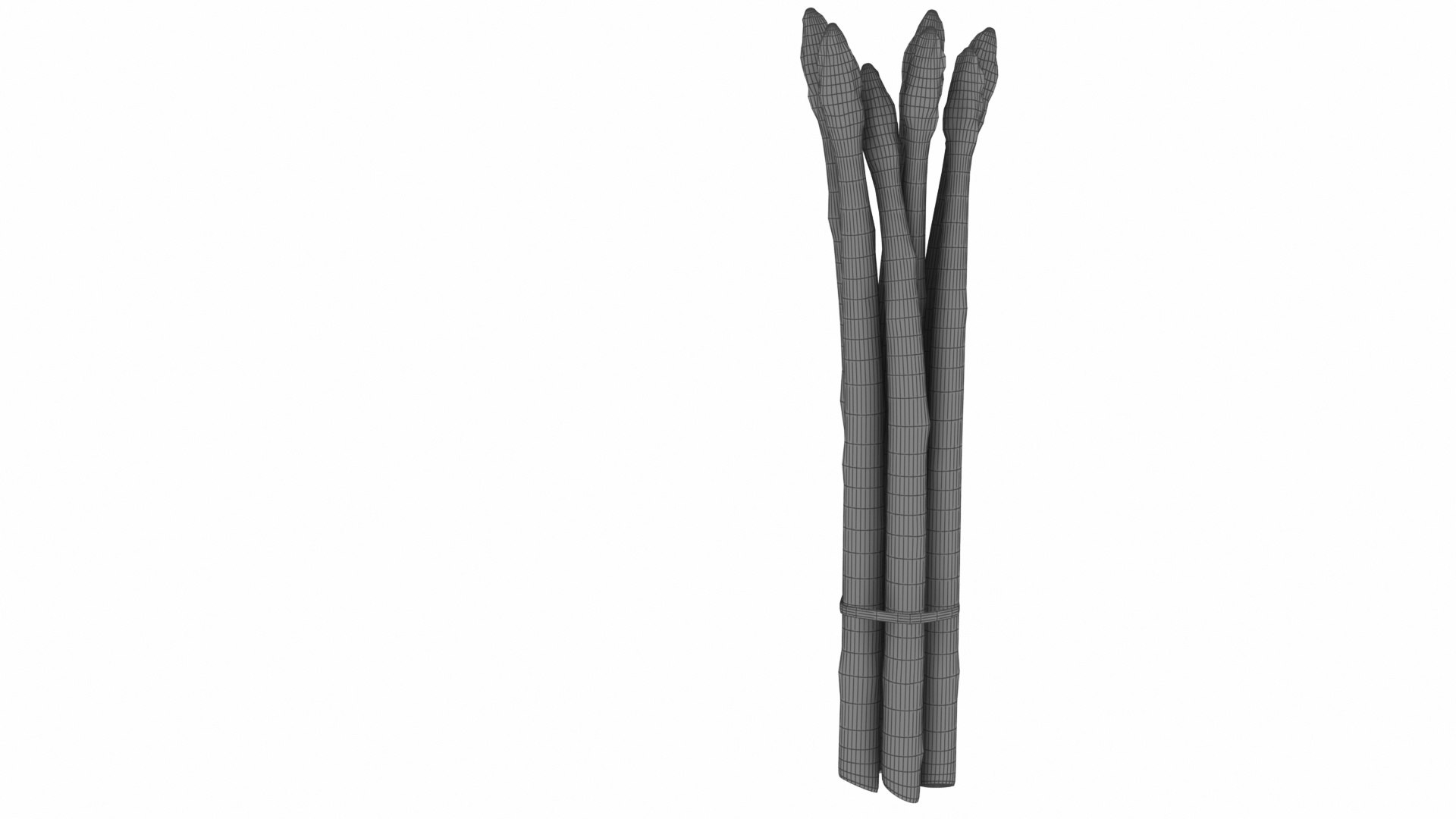 Asparagus 3D model https://p.turbosquid.com/ts-thumb/BH/I3uyV1/37/asparagus8/jpg/1768863027/1920x1080/fit_q87/dc74f8e3141297fe2a10456c20b8905262a40179/asparagus8.jpg