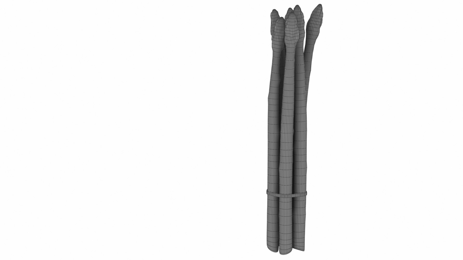 Asparagus 3D model https://p.turbosquid.com/ts-thumb/BH/I3uyV1/4s/asparagus10/jpg/1768863028/1920x1080/fit_q87/c2bcc5ea192838603f4d19964079a499e293fa93/asparagus10.jpg