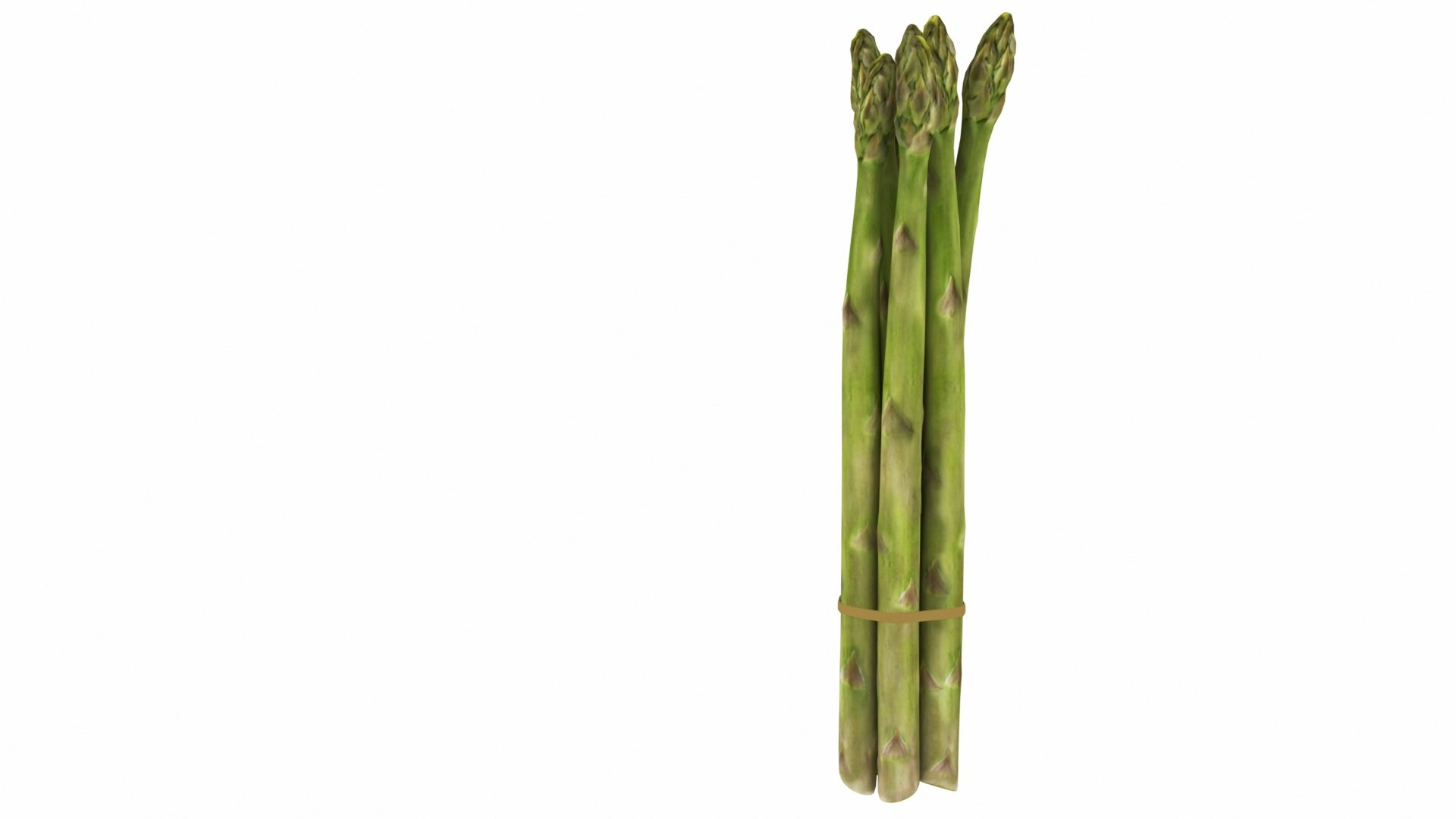 Asparagus 3D model https://p.turbosquid.com/ts-thumb/BH/I3uyV1/9F/asparagus4/jpg/1768863025/1920x1080/fit_q87/d9dfab97c0f5847699b102de44f949f26142926e/asparagus4.jpg