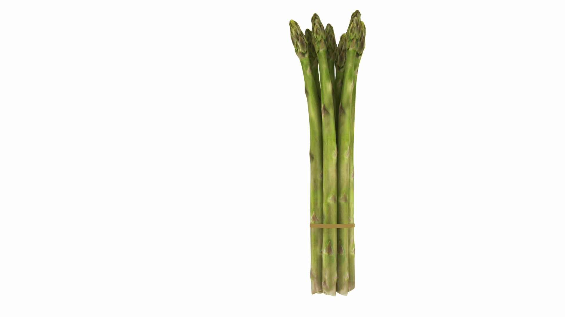 Asparagus 3D model https://p.turbosquid.com/ts-thumb/BH/I3uyV1/Ag/asparagus5/jpg/1768863026/1920x1080/fit_q87/1c746ccae58bbb5e6647308ef0da2b999698306b/asparagus5.jpg