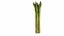 Asperge