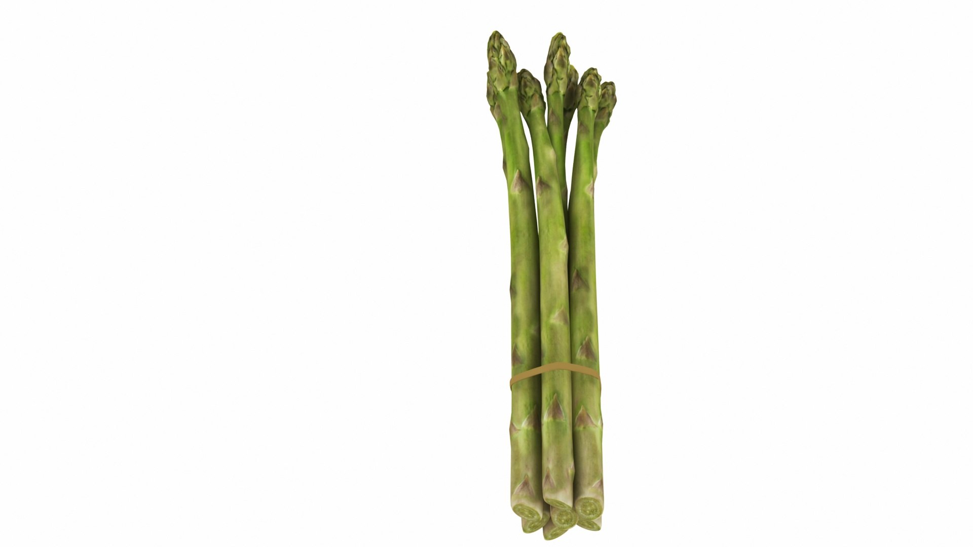 Asparagus 3D model https://p.turbosquid.com/ts-thumb/BH/I3uyV1/DQ/asparagus3/jpg/1768863024/1920x1080/fit_q87/bb550a7610d914ba7fc4a8df7eccea8a28870939/asparagus3.jpg
