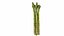 Asperge