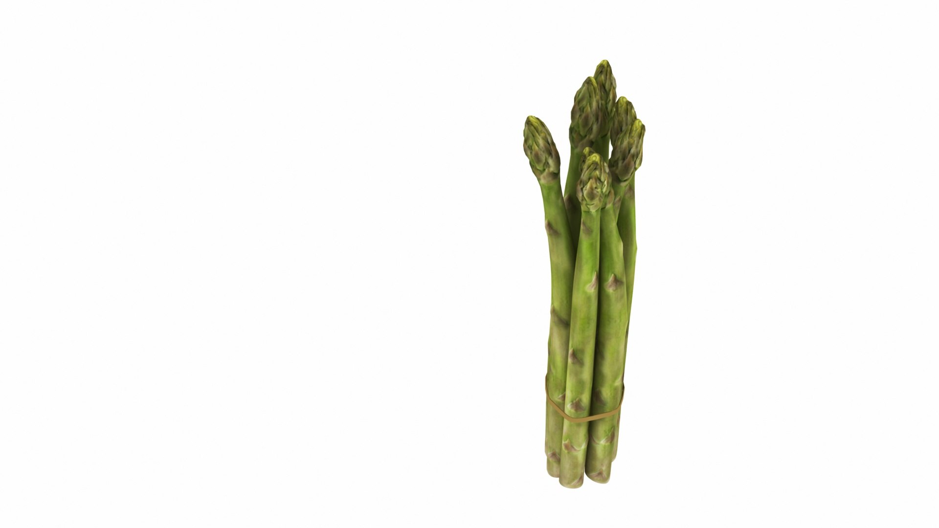 Asparagus 3D model https://p.turbosquid.com/ts-thumb/BH/I3uyV1/Gm/asparagus6/jpg/1768863023/1920x1080/fit_q87/9c26abbd04c6eddf389021b3326f4cba63f31ba2/asparagus6.jpg
