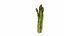 Asperge
