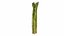 Asperge