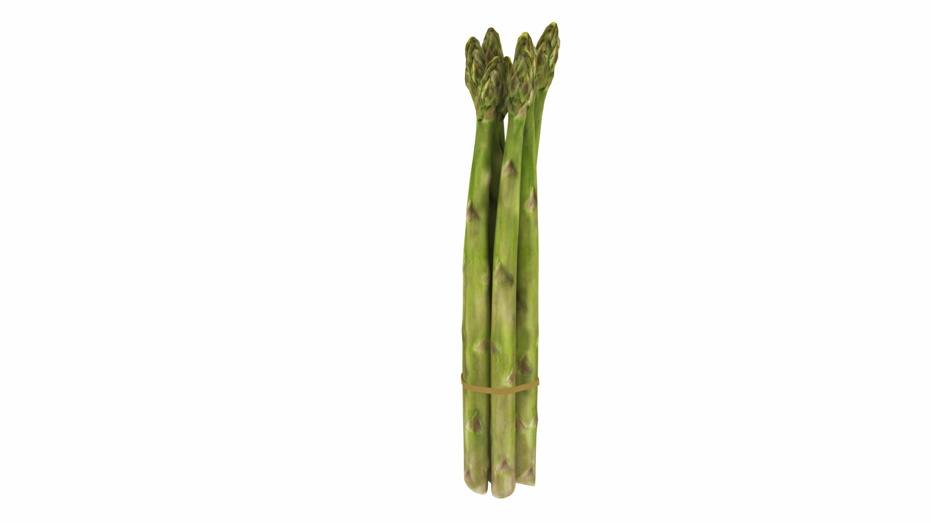 20 in 1 Veggie Set 3D https://p.turbosquid.com/ts-thumb/BH/I3uyV1/L4/asparagus7/jpg/1769192052/1920x1080/fit_q87/4cfd80fcd1692c0f2316a678dddaec9230f25b9b/asparagus7.jpg