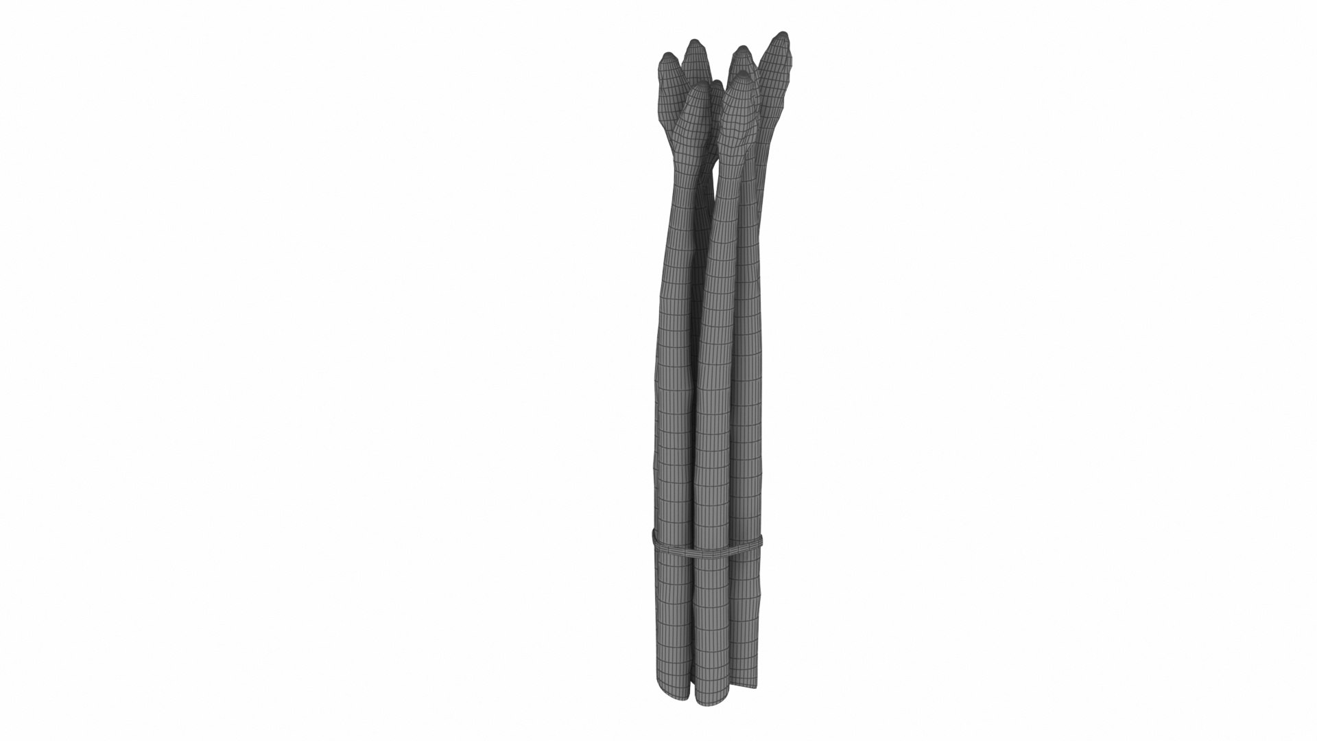 Asparagus 3D model https://p.turbosquid.com/ts-thumb/BH/I3uyV1/PV/asparagus13/jpg/1768863027/1920x1080/fit_q87/5e89a956e1bf94033b1ca724e47945c2ee1395f4/asparagus13.jpg