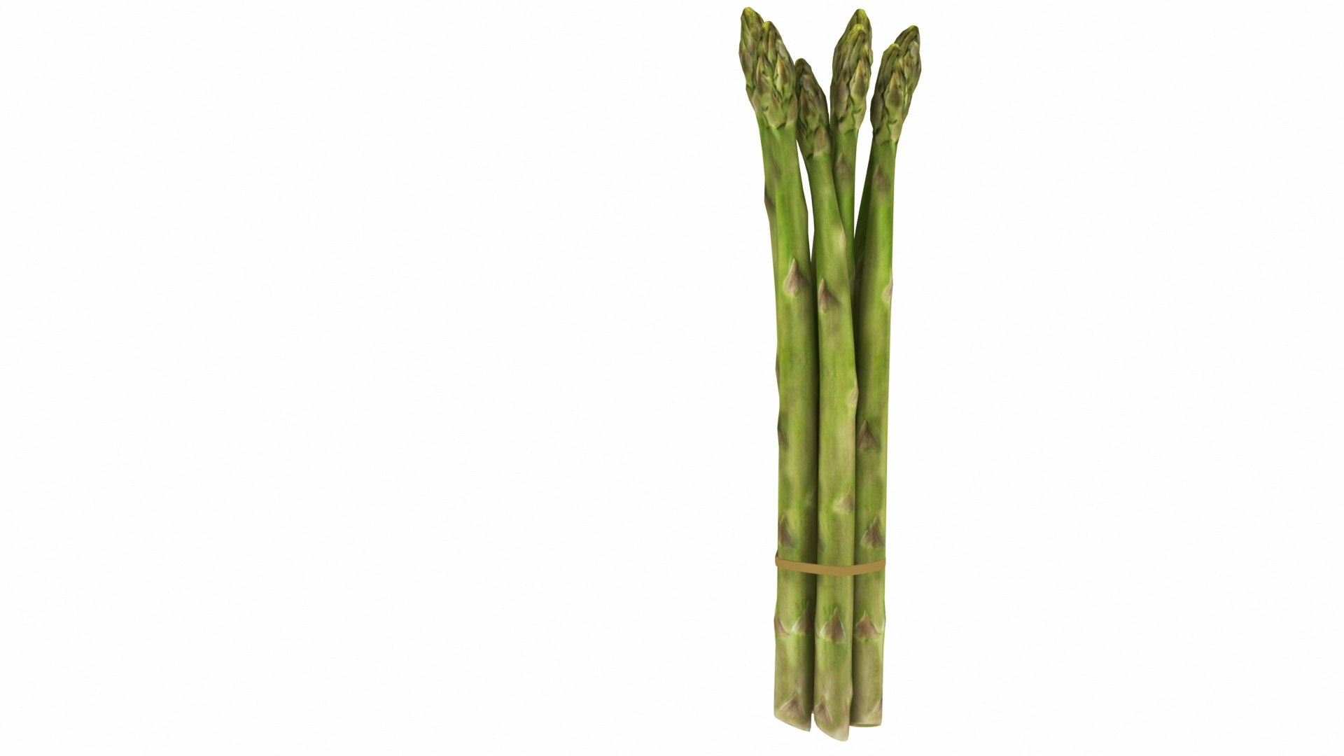 Asparagus 3D model https://p.turbosquid.com/ts-thumb/BH/I3uyV1/QW/asparagus2/jpg/1768863024/1920x1080/fit_q87/b5319a96907a077965fc52a0c38c9c952a1dc40e/asparagus2.jpg