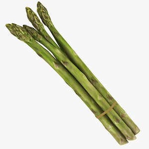 Asparagus 3D model