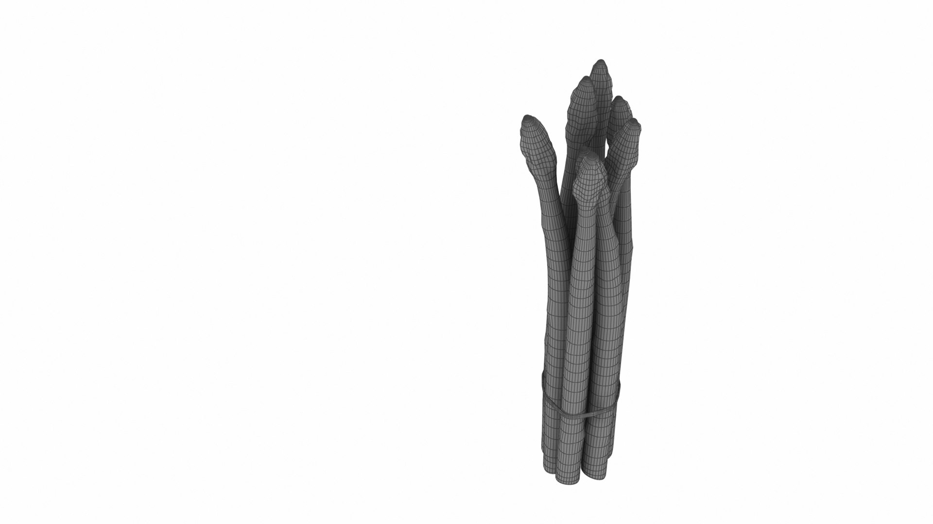 Asparagus 3D model https://p.turbosquid.com/ts-thumb/BH/I3uyV1/mF/asparagus12/jpg/1768863026/1920x1080/fit_q87/fc3ffdccc5aa94278217a378200e3c7bacad5f33/asparagus12.jpg