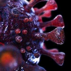 Coronavirus SARS-CoV-2 - Violet - SCENE