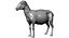 3d model sheep realistic