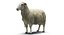 3d model sheep realistic