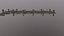 wooden pier