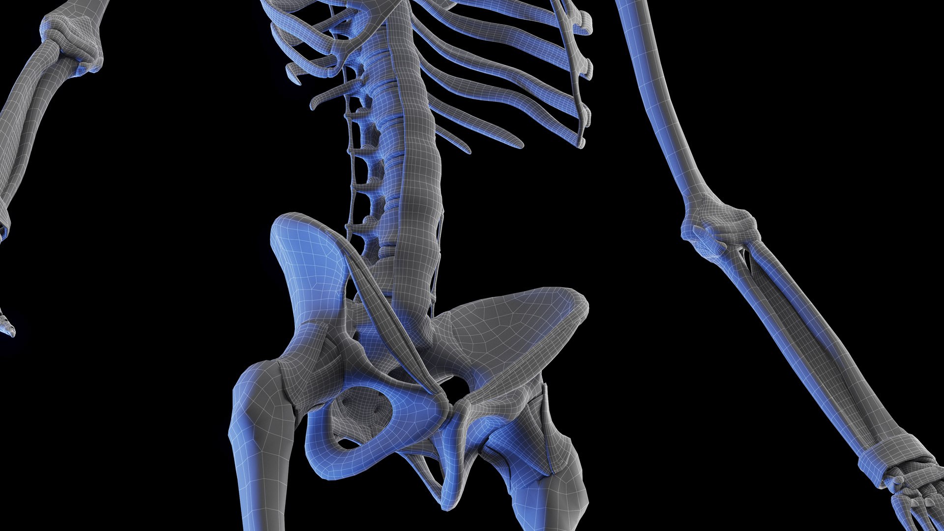 Human Male Ligaments and Skeletal System 3D model https://p.turbosquid.com/ts-thumb/BI/3Z2NFf/kO/male_ligaments_wire_02/jpg/1674153415/1920x1080/fit_q87/df23bb2bdd74953e0cd0fd733e79577db9e2f62f/male_ligaments_wire_02.jpg