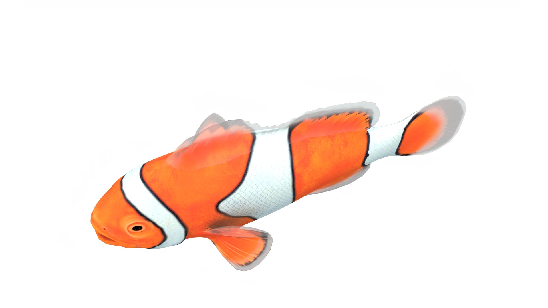 3D Orange Clown Fish Rigged - TurboSquid 2292806