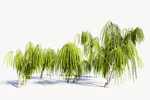 5 Willow Tree low-poly 3D model 3D