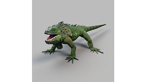 iguana rigged 3D model