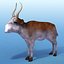 saiga antelope 3d 3ds
