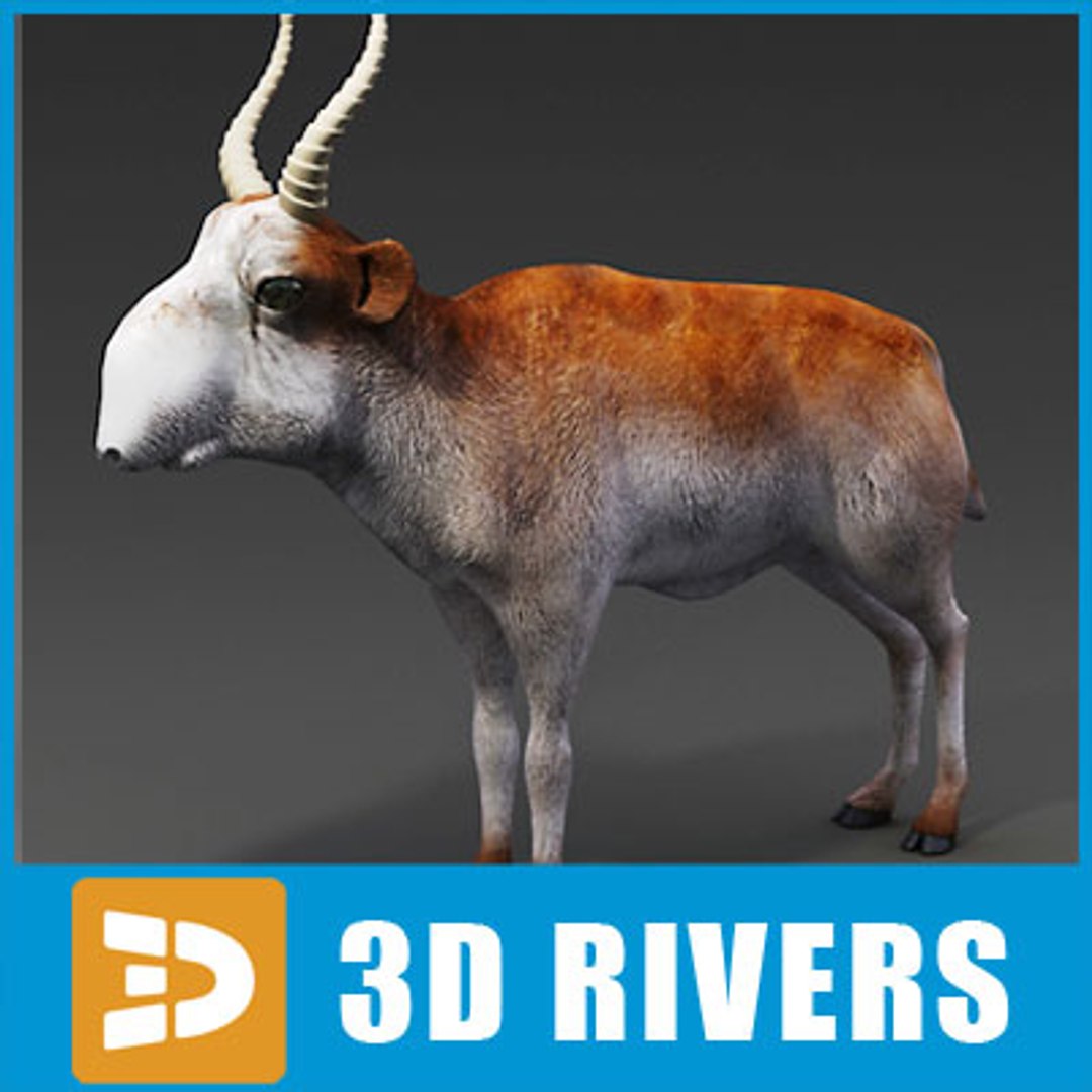 saiga antelope 3d 3ds https://p.turbosquid.com/ts-thumb/BI/GKioCq/JfI8cjtY/saigaantelope_logo/jpg/1278674740/1920x1080/fit_q87/fe963cd1e22eb8a3bd432e463fa37bf5f6e83857/saigaantelope_logo.jpg