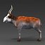 saiga antelope 3d 3ds