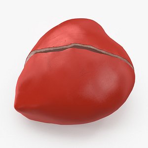 Heart 05