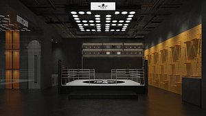 3D Boxing Arena 2