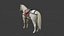 Modelo 3D animado de caballo blanco de alta calidad