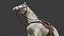 Modelo 3D animado de caballo blanco de alta calidad