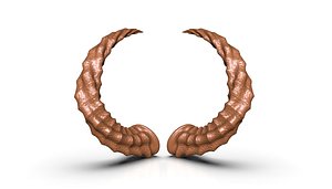 HORN 11 high poly sculpt 3D model 3D