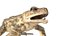 Crapaud de ruisseau de natation truqué