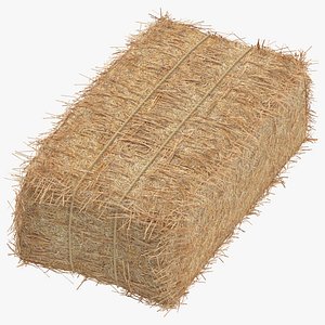 Hay Bales 01 Solid and Debris