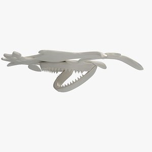 hammerhead skull 3D model